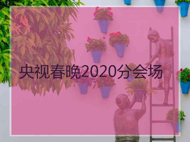 央视春晚2020分会场