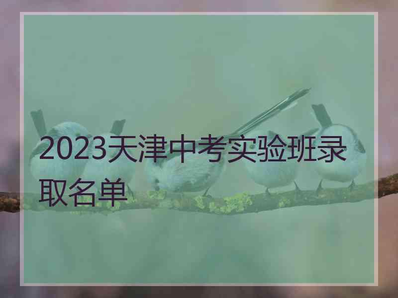 2023天津中考实验班录取名单