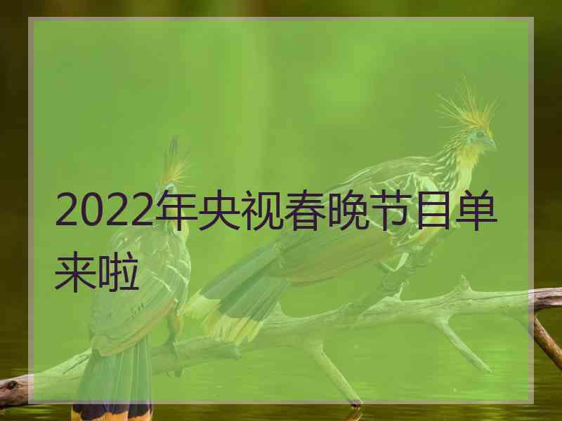 2022年央视春晚节目单来啦