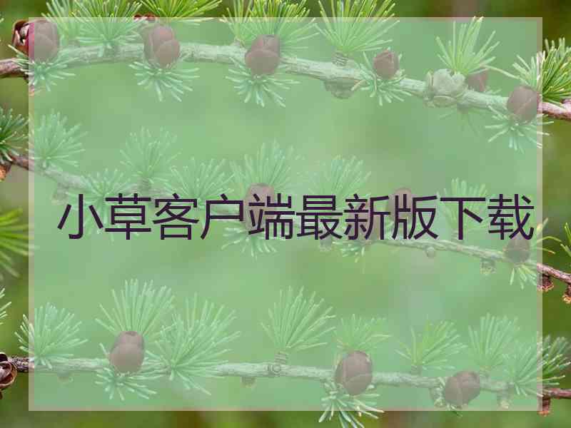 小草客户端最新版下载