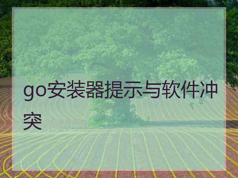 go安装器提示与软件冲突