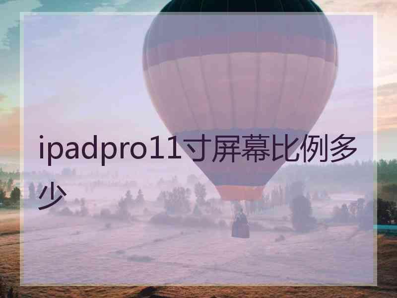 ipadpro11寸屏幕比例多少