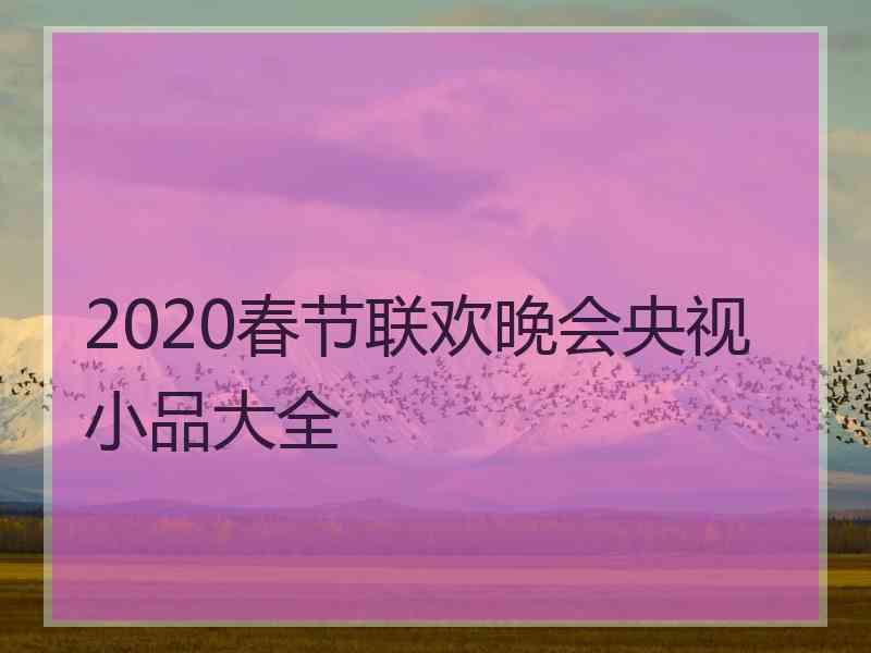 2020春节联欢晚会央视小品大全