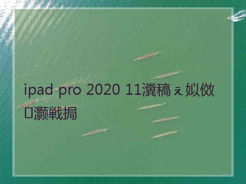 ipad pro 2020 11瀵稿ぇ姒傚灏戦挶