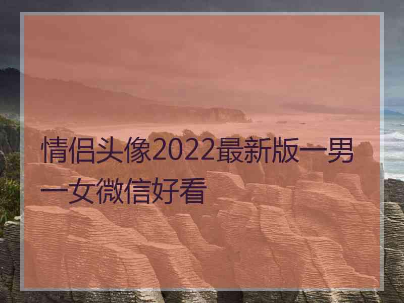 情侣头像2022最新版一男一女微信好看