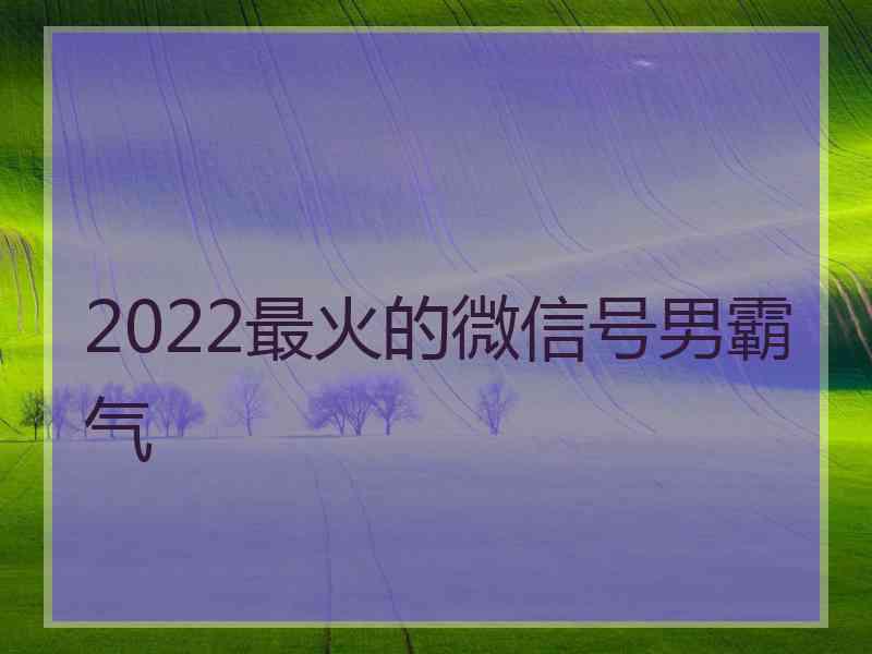 2022最火的微信号男霸气