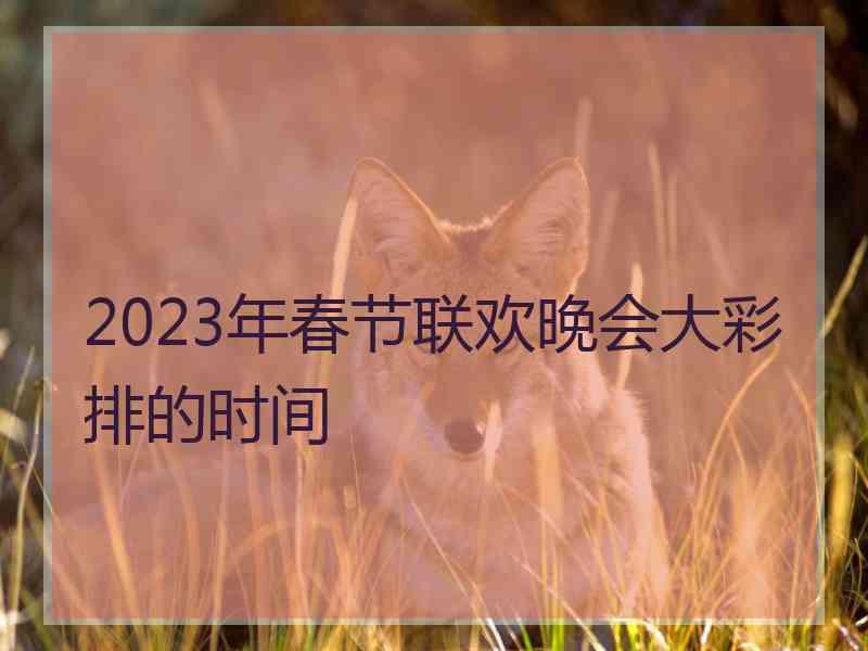 2023年春节联欢晚会大彩排的时间