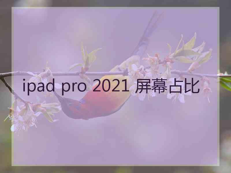 ipad pro 2021 屏幕占比