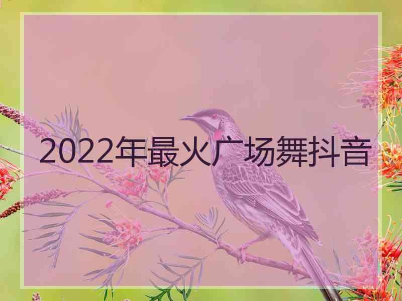 2022年最火广场舞抖音