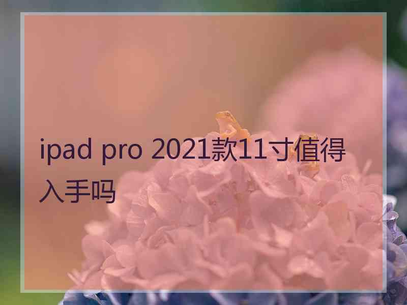 ipad pro 2021款11寸值得入手吗