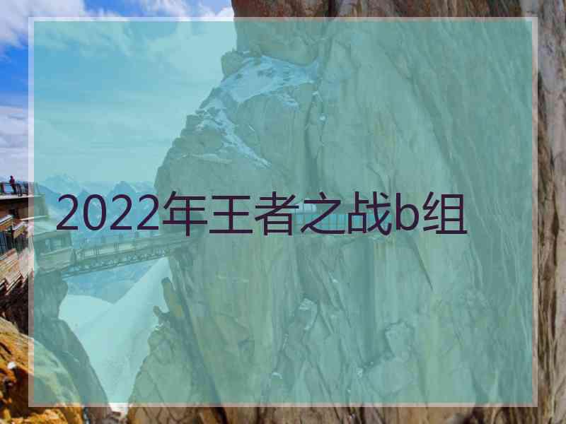 2022年王者之战b组