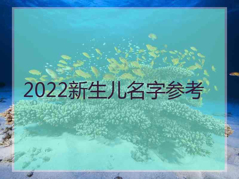 2022新生儿名字参考