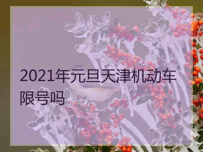 2021年元旦天津机动车限号吗