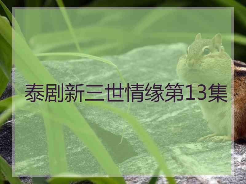 泰剧新三世情缘第13集