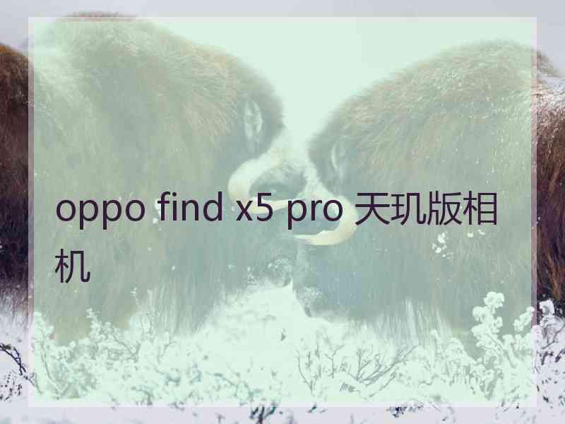 oppo find x5 pro 天玑版相机