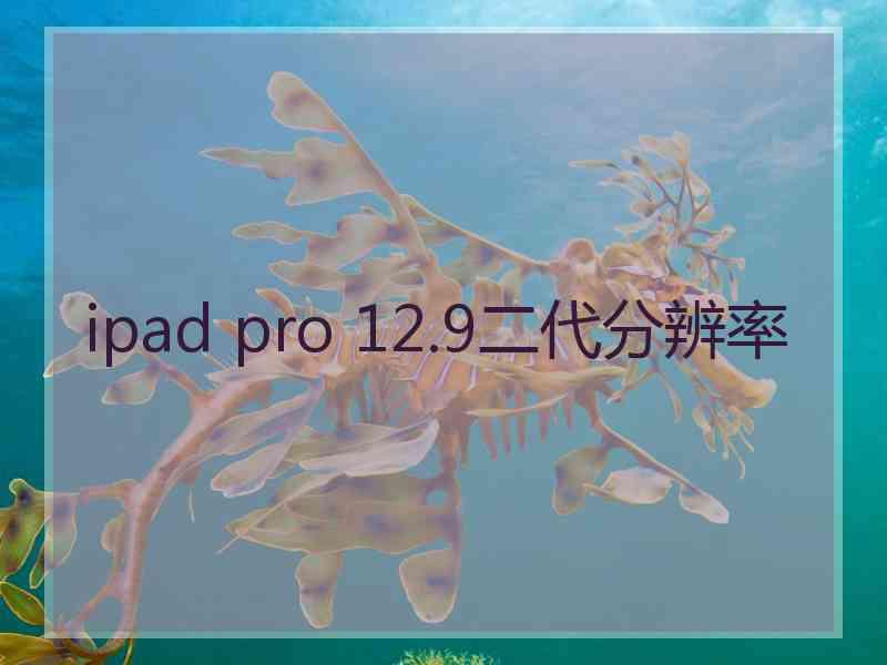 ipad pro 12.9二代分辨率