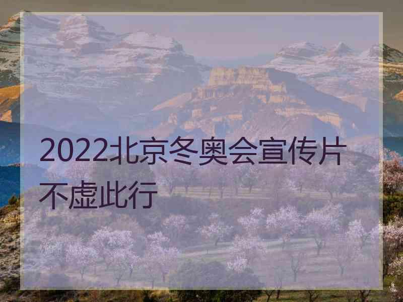 2022北京冬奥会宣传片不虚此行