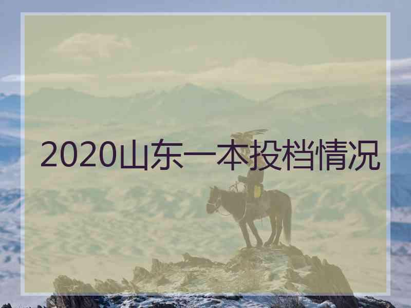 2020山东一本投档情况