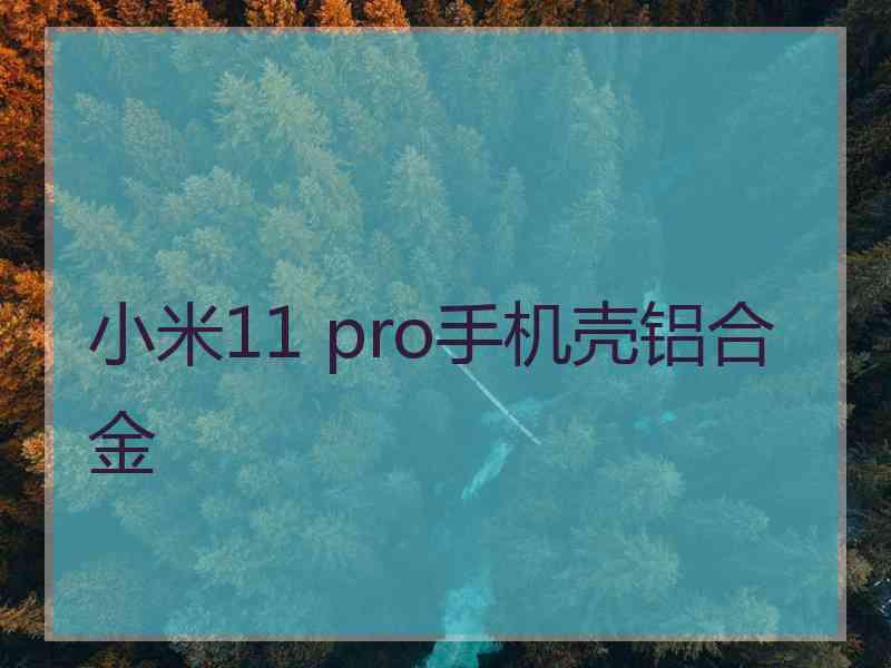 小米11 pro手机壳铝合金