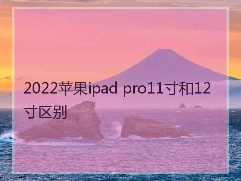 2022苹果ipad pro11寸和12寸区别