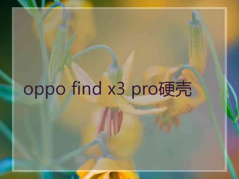 oppo find x3 pro硬壳