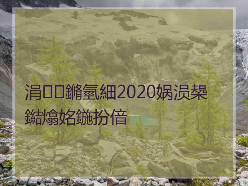 涓鏅氫細2020娲涢槼鐑熻姳鍦扮偣