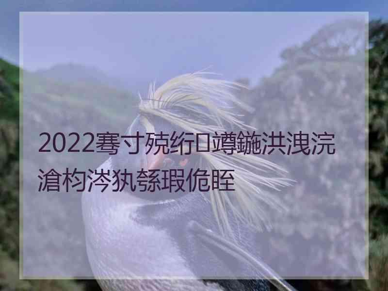 2022骞寸殑绗竴鍦洪洩浣滄枃涔犱綔瑕佹眰