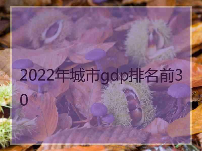 2022年城市gdp排名前30