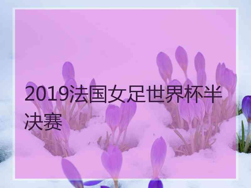 2019法国女足世界杯半决赛