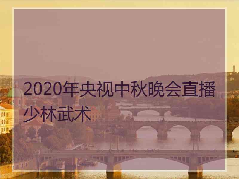 2020年央视中秋晚会直播少林武术