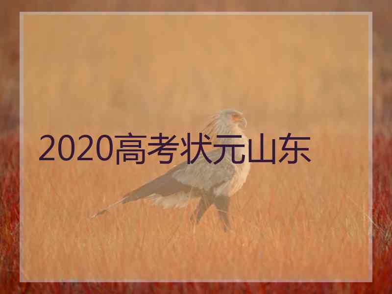 2020高考状元山东