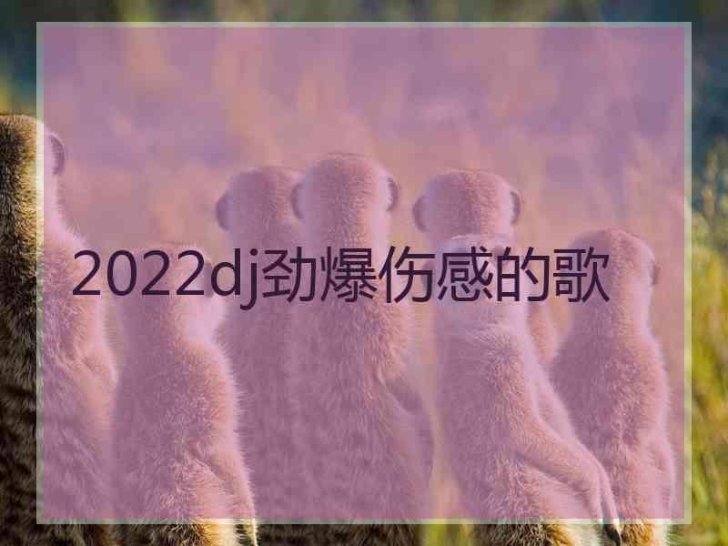 2022dj劲爆伤感的歌