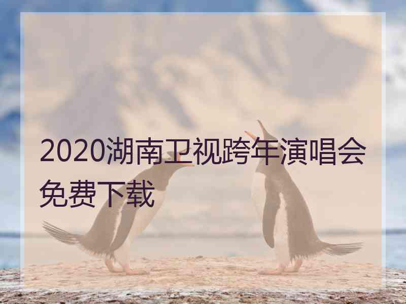 2020湖南卫视跨年演唱会免费下载