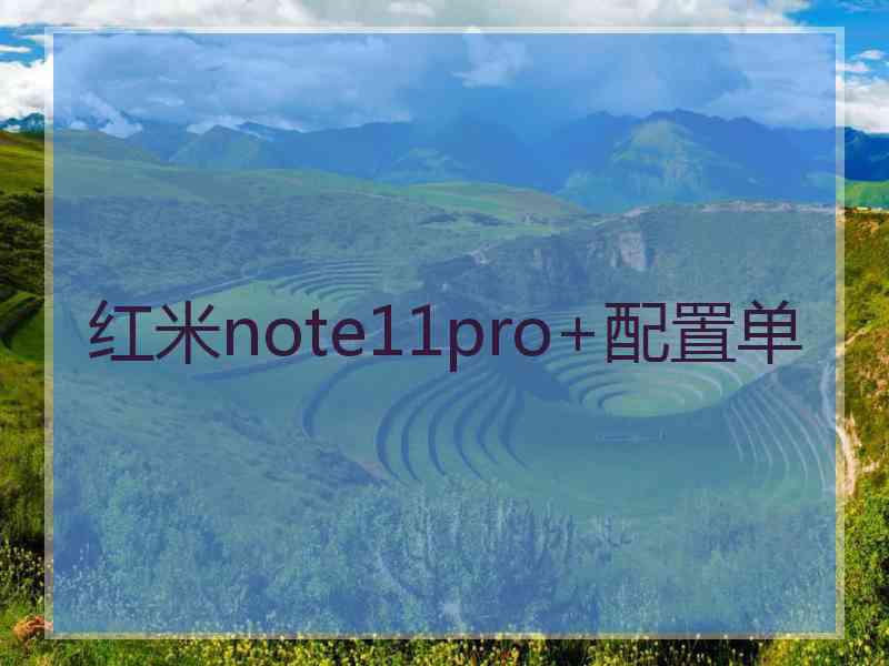 红米note11pro+配置单