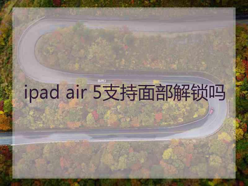 ipad air 5支持面部解锁吗