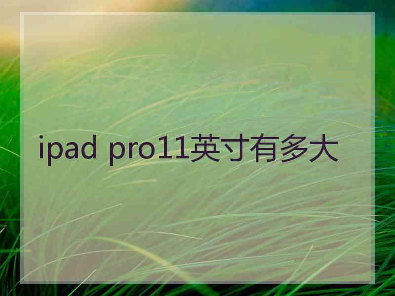 ipad pro11英寸有多大