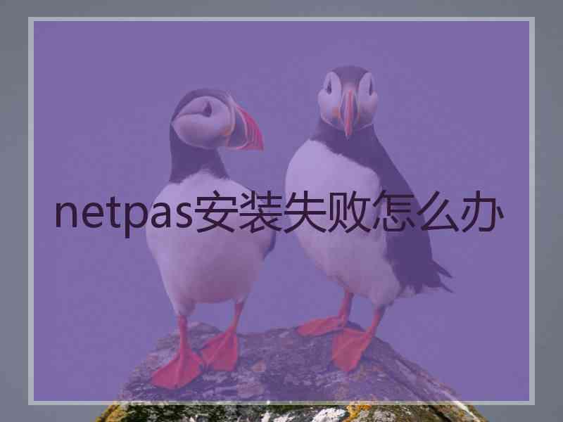 netpas安装失败怎么办