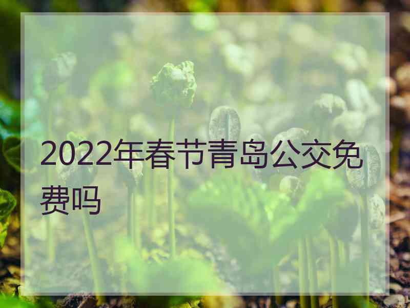 2022年春节青岛公交免费吗