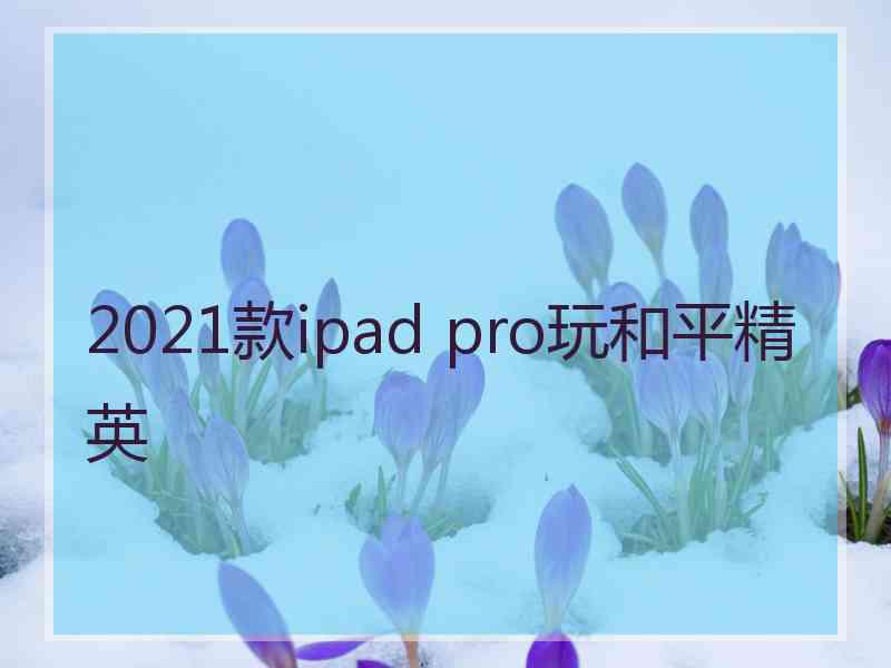 2021款ipad pro玩和平精英