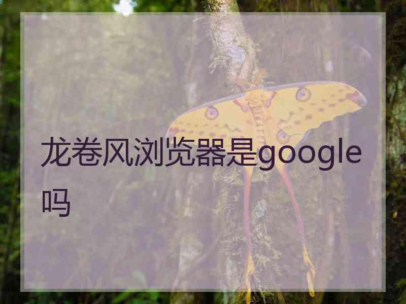 龙卷风浏览器是google吗