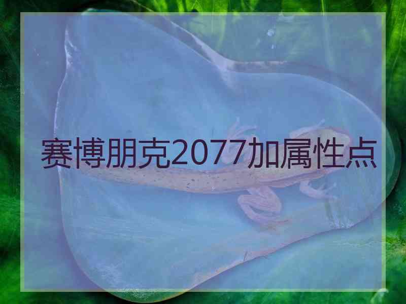 赛博朋克2077加属性点