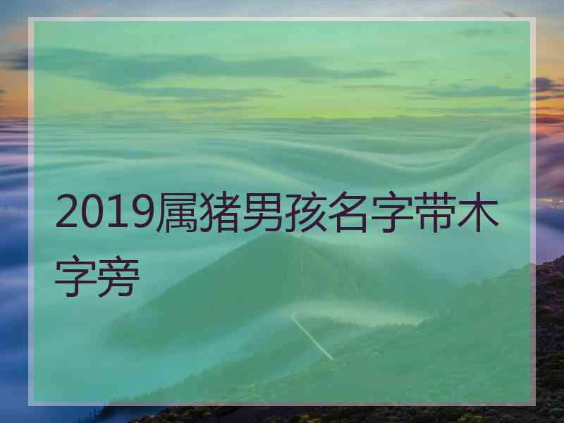 2019属猪男孩名字带木字旁