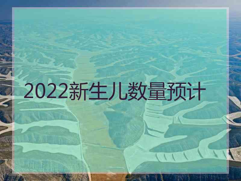 2022新生儿数量预计