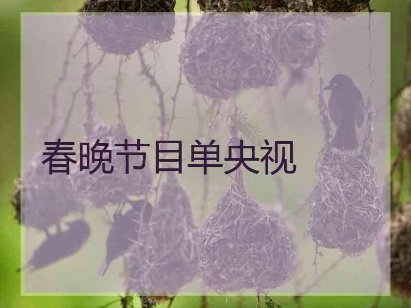 春晚节目单央视