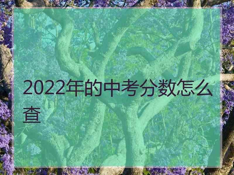 2022年的中考分数怎么查