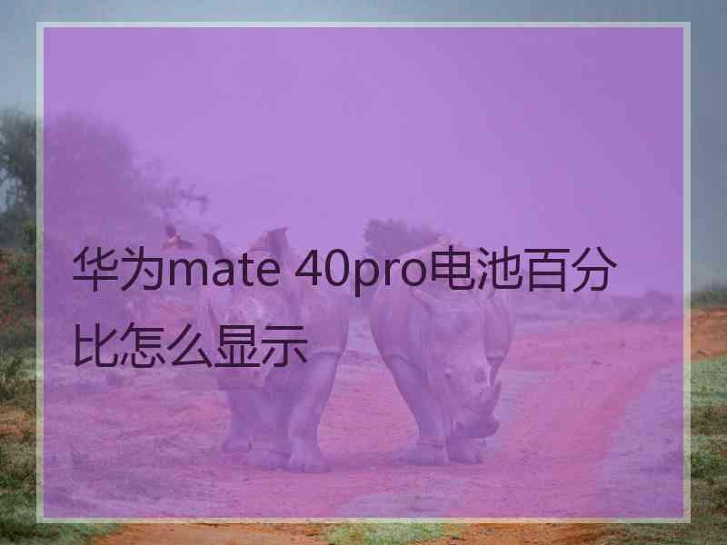 华为mate 40pro电池百分比怎么显示