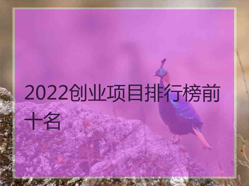 2022创业项目排行榜前十名