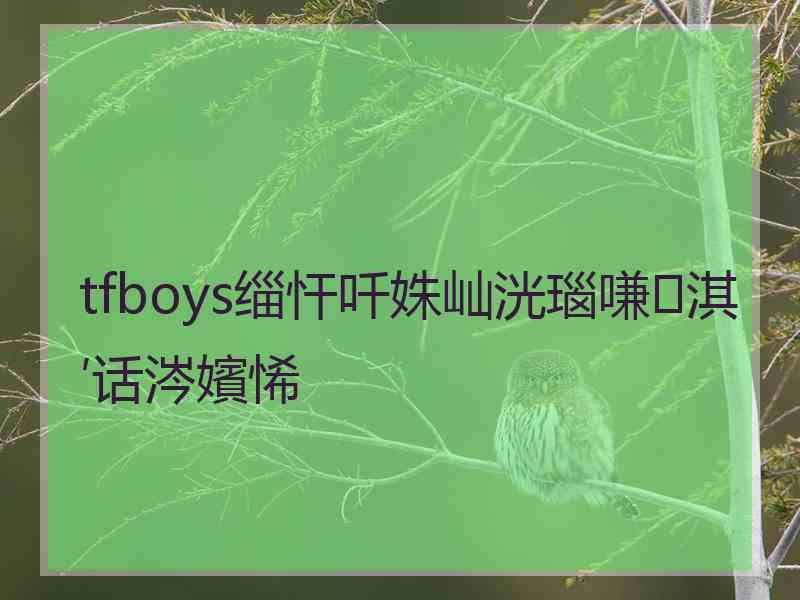 tfboys缁忓吀姝屾洸瑙嗛淇′话涔嬪悕