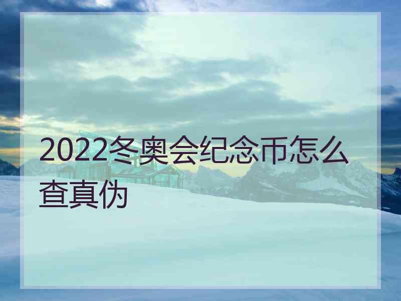 2022冬奥会纪念币怎么查真伪