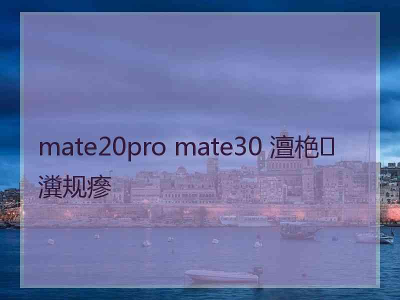 mate20pro mate30 澶栬瀵规瘮